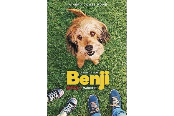 <strong>Benji (1974)</strong> Uno de los clásicos por excelencia del cine infantil es sobre un perro callejero tejano que se hace amigo de todos, consiguiendo comida, cobija, y el mejor trato, incluso para su compañera mascota. La tensión de la película se da cuando dos niños favoritos de Benji han sido secuestrados y los dos perros tratarán de liberarlos, junto con sus amigos.