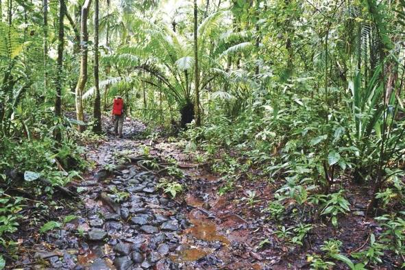 Panamá avanza para incluir la Ruta Transístmica en lista de Patrimonio Mundial