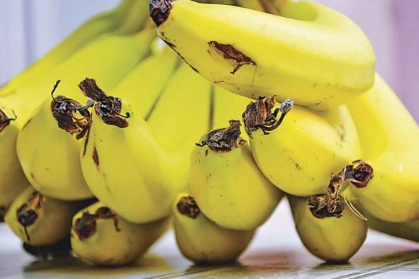 El valor de las exportaciones de banano fresco fue uno de los más altos: $64,0 millones.