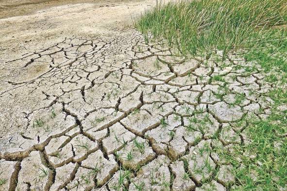 Cambio climático y seguridad ambiental son temas que se abordarán en la conferencia.