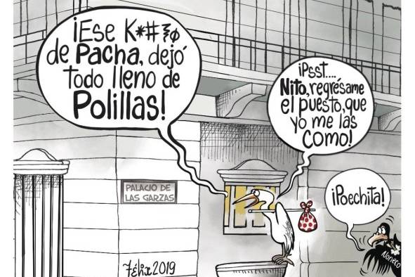 La Opinión Gráfica del 5 de diciembre de 2019