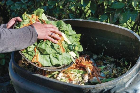 El hambre aumenta mientras un alto volumen de alimentos se desperdicia