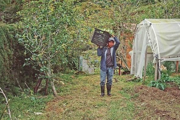 El chef Hernán Correa creó en 2016 la Fundación Rescate de Alimentos, que busca combatir la desnutrición y evitar el desperdicio de insumos.