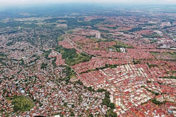 Los patrones de crecimiento a lo interno también presentan variaciones.