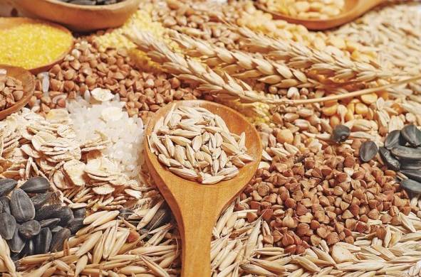 El trigo y otros cereales ucranianos tienen veto.