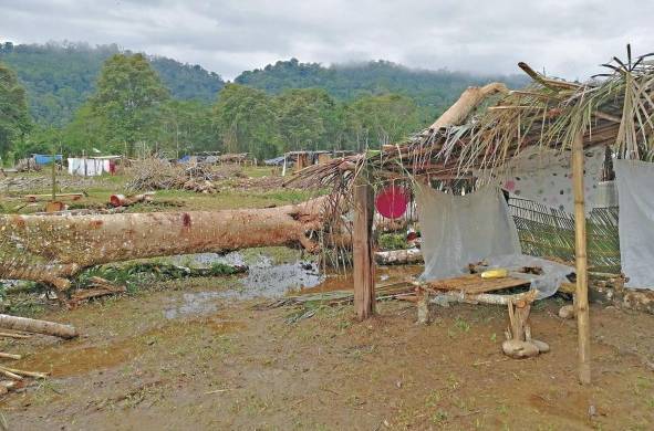 Toma de tierras en Bocas del Toro, un problema de vieja data que espera respuestas de las autoridades