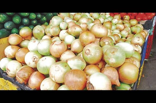 La cebolla es uno de los ingredientes indispensables en las comidas de los panameños; pero ingerir el bulbo dañado, vencido o podrido puede afectar la salud.