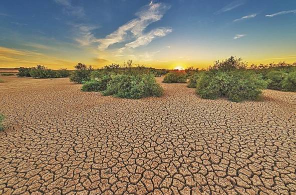 La adaptación frente a sequías extremas depende del conocimiento científico.
