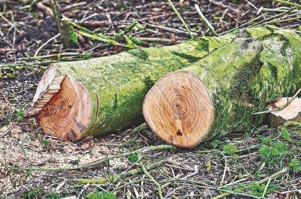 Los recursos naturales de un país son parte patrimonial del colectivo social, constituido a partir de la sociedad.