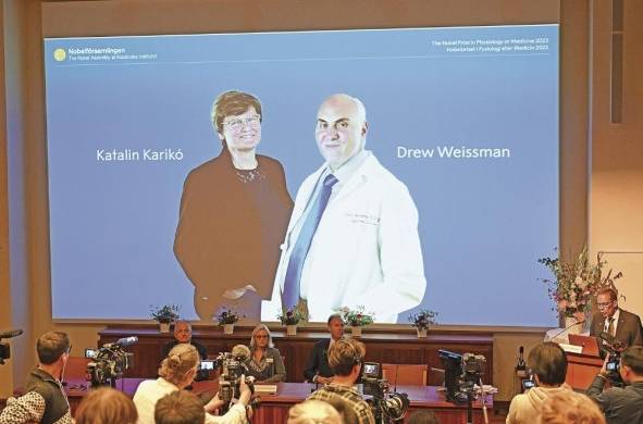 Katalin Karikó y Drew Weissmann son catedráticos de la Universidad de Pensilvania, Estados Unidos, y descubrieron cómo modificar las moléculas de ARN. El anuncio del Nobel de Medicina se realizó ayer en conferencia de prensa.
