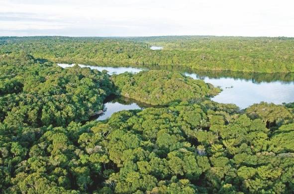 La Amazonia, una de las áreas más biodiversas de América Latina y el Caribe.