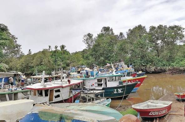 Los pescadores del Golfo de Chiriquí rechazan las prácticas agresivas de la organización.