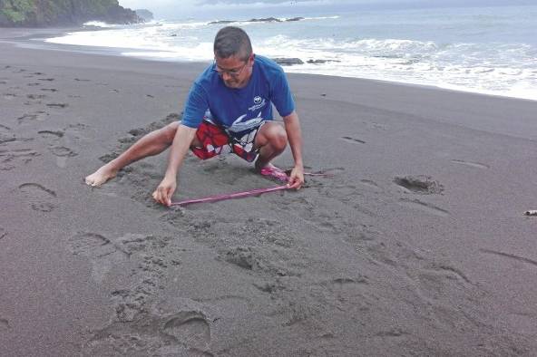 El Dr. Eric Flores es especialista en biodiversidad de la Estación Científica Coiba AIP, miembro del SNI y miembro de la Fundación Panama Wildlife Conservation.