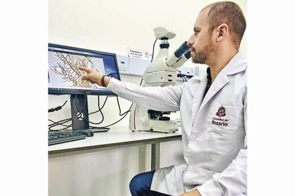 El doctor Edwin Cadena de la Universidad del Rosario en Bogotá lidera la investigación.