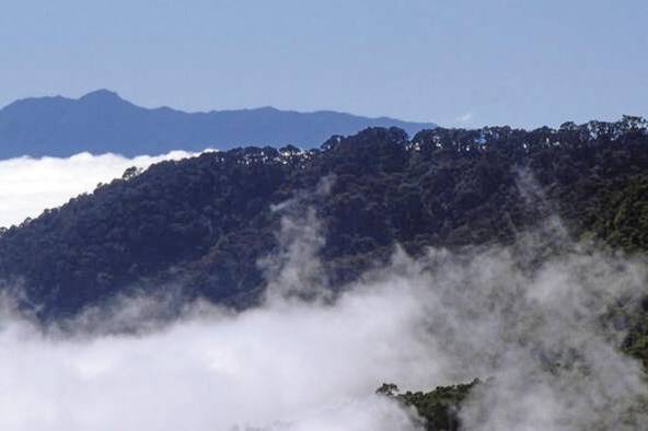 Parque Nacional La Amistad, Reserva Natural de Panamá desde 1983.