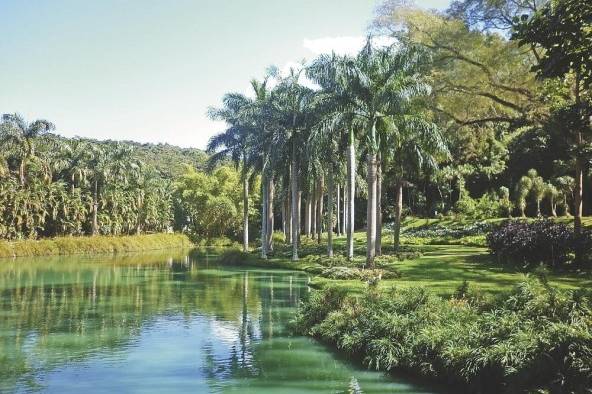 Jardines del Parque Inhotim, Brumadinho, Minas Gerais, Brasil.