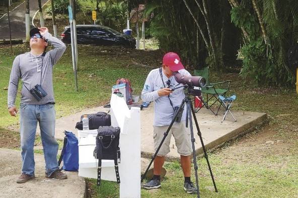 Domiciano Alveo y Ramiro Duque, en la faena de conteo.