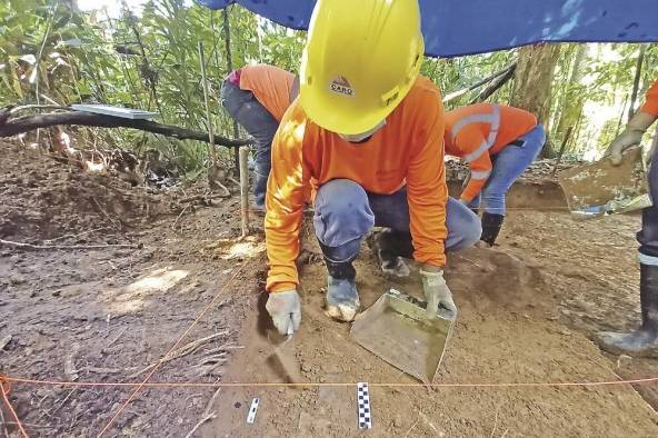 Excavación arqueológica