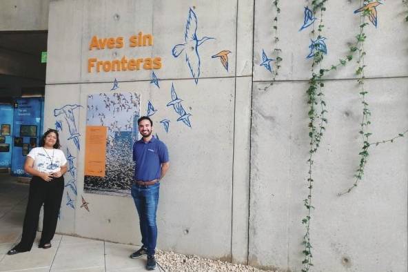 La artista encargada de los trazos 'Aves sin Fronteras', Meera Sachani y el jefe de guías del Biomuseo, Luis Miranda.