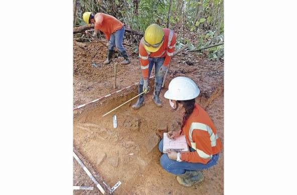 Trabajo de campo en el proyecto Minera Panamá.
