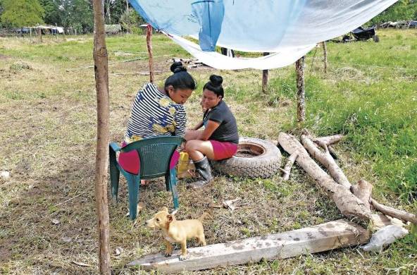 Toma de tierras en Bocas del Toro, un problema de vieja data que espera respuestas de las autoridades