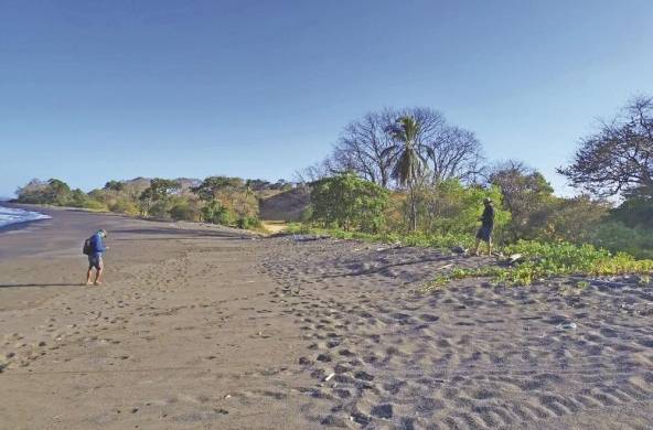 La playa El Gato tiene unos 800 m de largo y unos 18 m de ancho, con una pendiente de 4% en promedio.