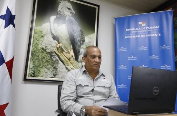 El ministro de Ambiente, Milciades Concepción, durante la cumbre preparatoria para la Conferencia de Biodiversidad.