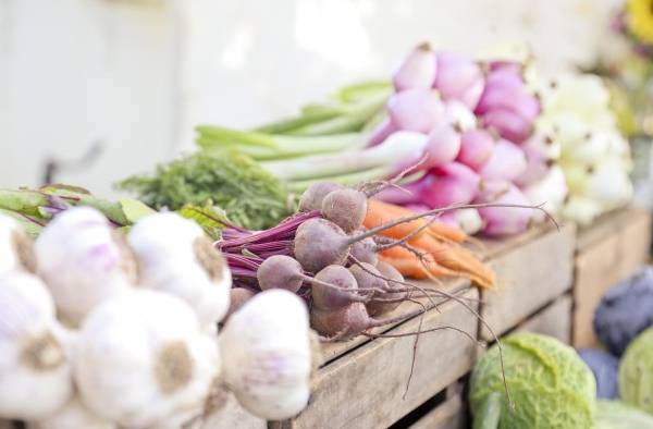 El principal factor que no se está considerando y es responsable del 70% de esos costos ocultos son las dietas pocos saludables.