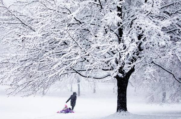 Una fuerte tormenta de nieve paraliza Washington durante horas