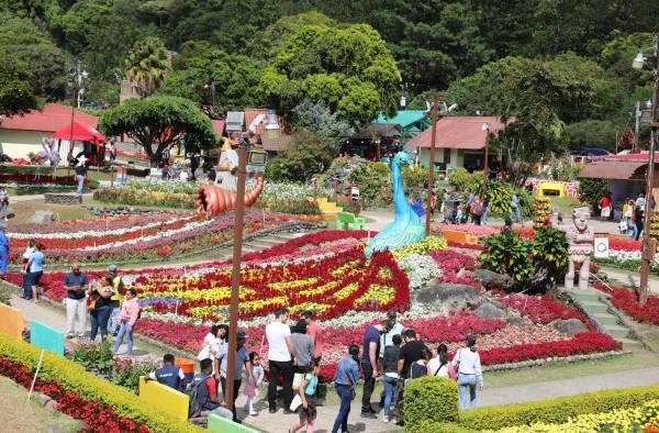 Feria de las Flores y el Caf&eacute;