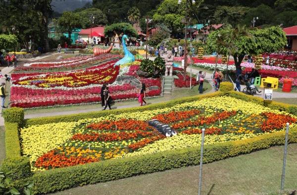 Feria de las Flores y el Caf&eacute;