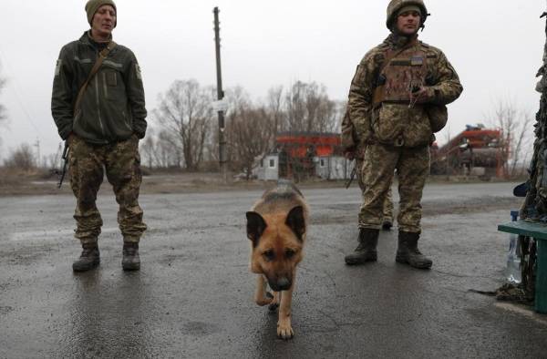 Imagen de soldados con un perro en Ucrania.