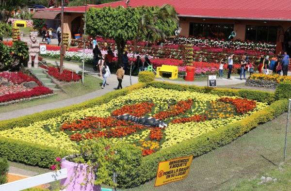 Feria de las Flores y el Caf&eacute;