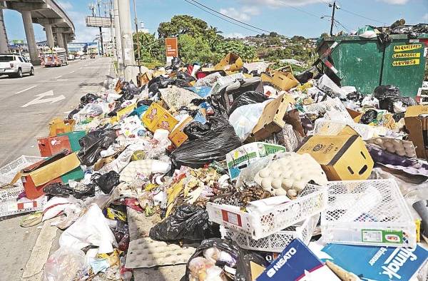 En promedio, cada ciudadano genera entre 1,0 y 1,2 kg de basura por día.