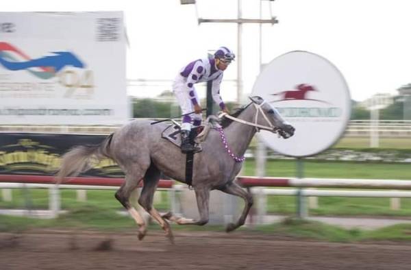 La tordilla ‘Silver Wood’ cruza la meta, para ganar la prueba clásica llena de poder.