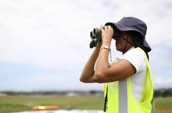 , el desplazamiento de las aves durante la migración se observa en una fase lumínica de 8:00 a.m. a 11:00 a.m.