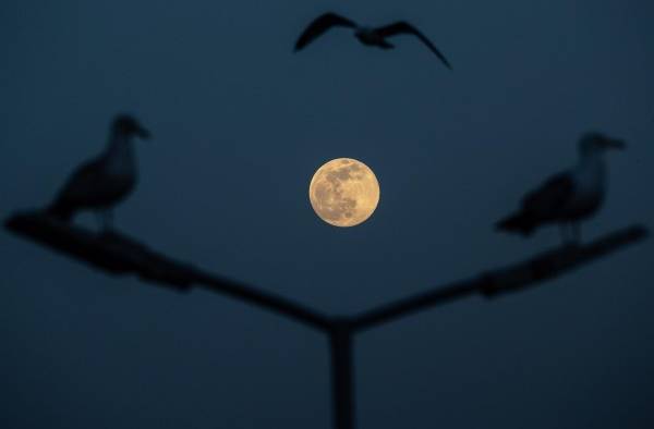 La primera superluna rosa cierra el mes de abril