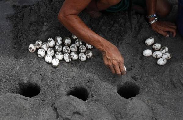 Unas tortugas dan alas a mujeres indígenas abandonadas de la Amazonía peruana