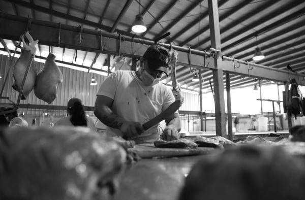 La pandemia en blanco y negro