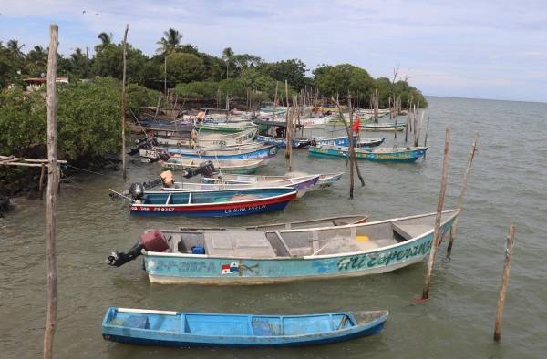 Los humedales de la bahía de Parita.