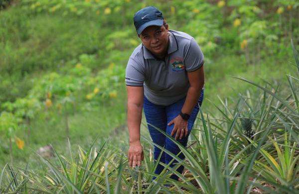 Los productores esperan seguir creciendo como empresa