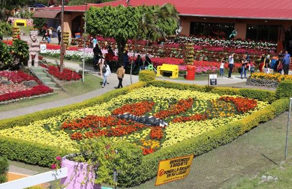 Feria de las Flores y el Caf&eacute;