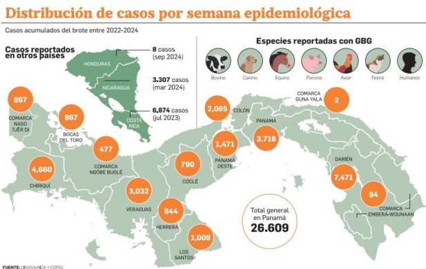 Gusano barrenador del ganado, más que una amenaza para el sector ganadero