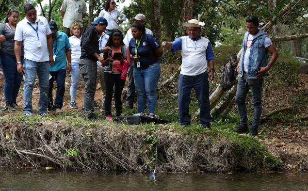 Los comités de cuencas hidrográficas han liderado 24 proyectos, muchos de ellos ejecutados por ONG.