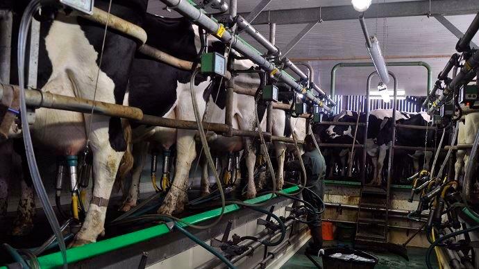 A diciembre de 2023, la producción de leche grado A ascendió a 86.7 millones de litros.