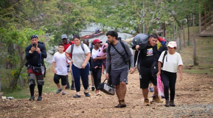 El Darién presentó una disminución significativa en su flujo migratorio durante el 2024, especialmente durante los últimos meses del año.