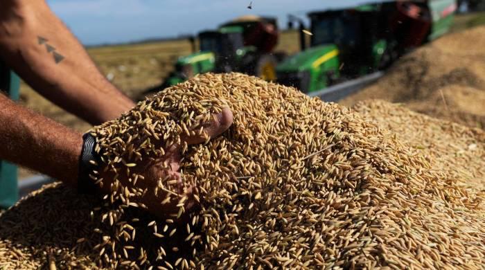 Según el ministro Rodolfo Linares, los pequeños productores son su prioridad.