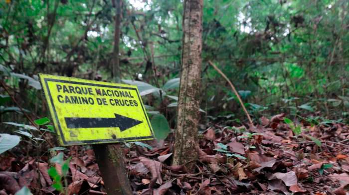 El Parque Nacional Camino de Cruces forma parte del Sistema Nacional de áreas protegidas administradas por el Ministerio de Ambiente.