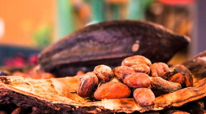 Panamá envía la subpartida 180631 de chocolate y demás preparaciones alimenticias que contengan cacao, en bloques, tabletas o barras a seis destinos, entre ellos, EE.UU. y Alemania.