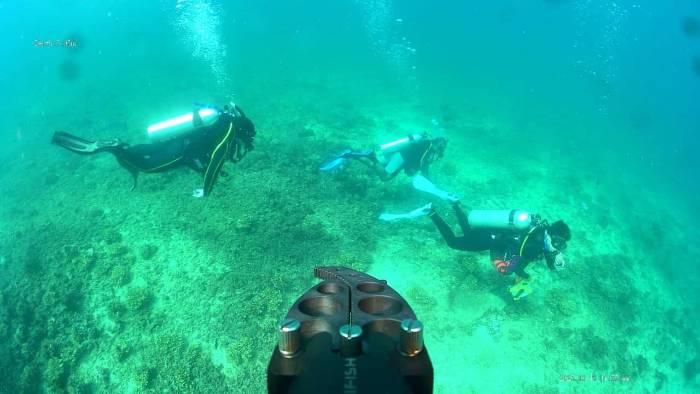 Buceo de monitoreo en el PN Coiba.